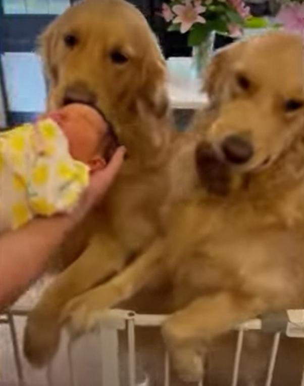 Winston and Doug meet baby for the first time and brings a toy